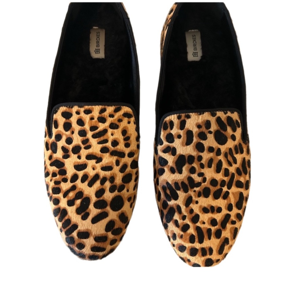 BIRDIES -  The Starling